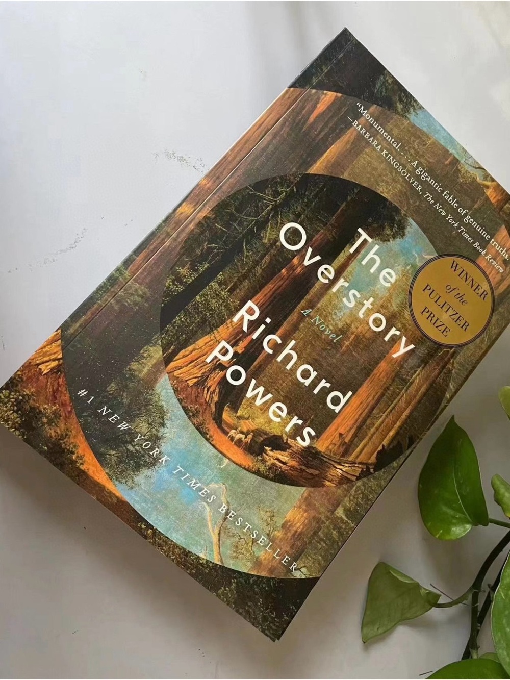 Richard Powers "The Overstory" Paperback Novel - Multi-Color